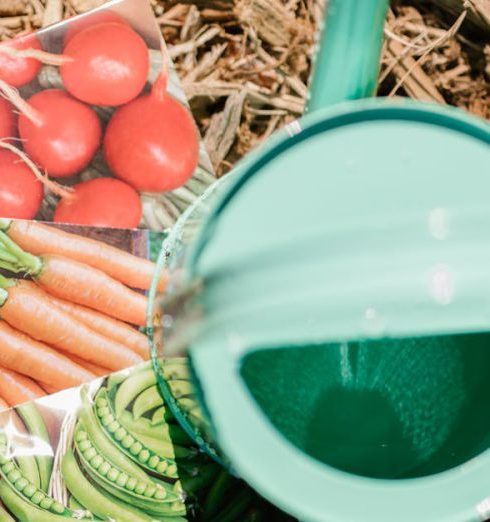 Mulching - Seeds in Pockets and Green Watering Can