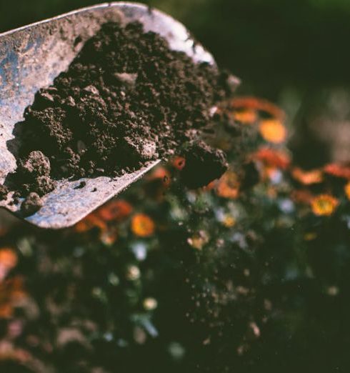 Soil - Person Digging on Soil Using Garden Shovel