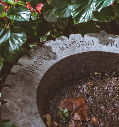 Shade-Loving Plants - Children's Memorial Garden