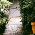 Garden Path - Gray Concrete Pathway Between Plants