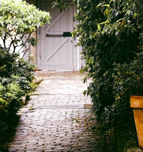 Garden Path - Gray Concrete Pathway Between Plants