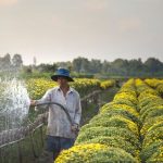 Irrigation System - Man Spraying Water on Flower Field