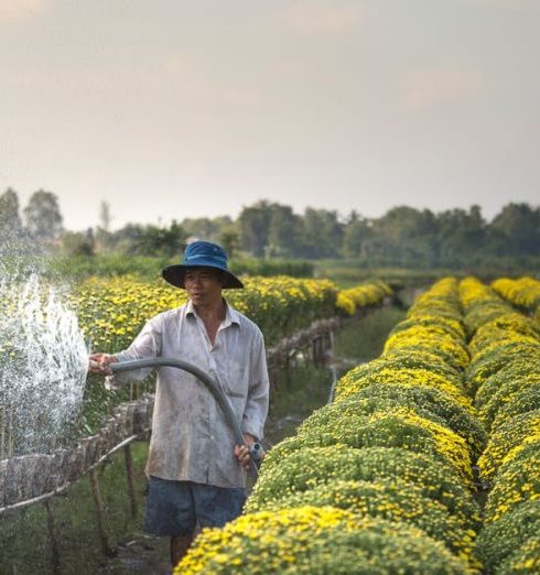 Irrigation System - Man Spraying Water on Flower Field