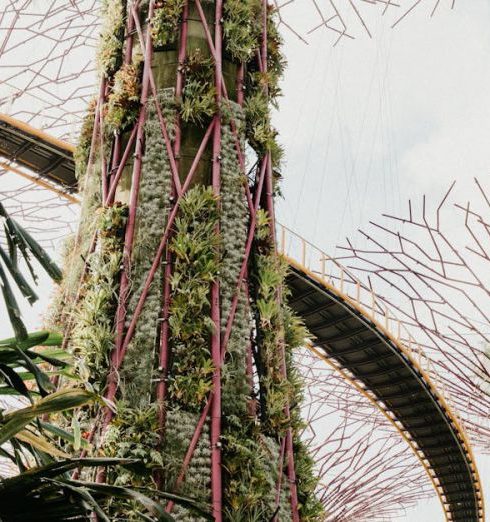 Vertical Gardens - Botanical Garden in Singapore