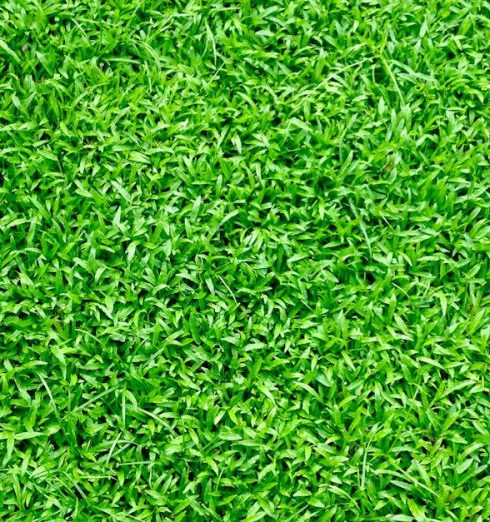 Artificial Grass - Green Grass