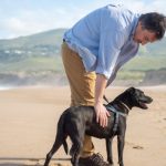 Dog-Friendly Landscape - A Man in Blue Polo Shirt Touching a Black Short Coated Dog on Sand