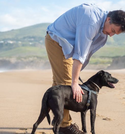 Dog-Friendly Landscape - A Man in Blue Polo Shirt Touching a Black Short Coated Dog on Sand