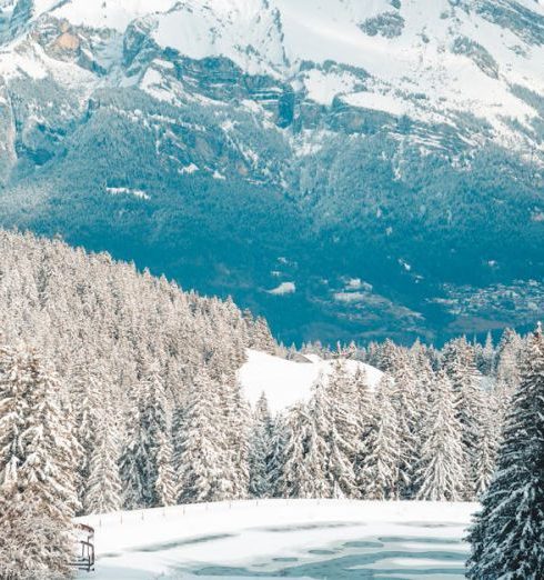 Landscape Fabric - A snowy mountain range with trees and snow covered ground