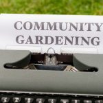 Vegetable Gardens - A typewriter with the words community gardening written on it