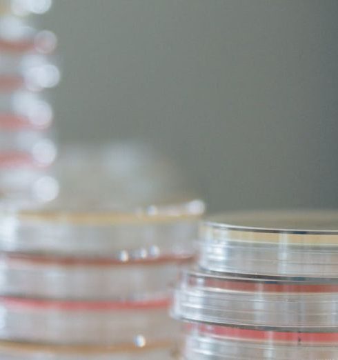 Incubator - Stacks of sterile petri dishes on a lab bench, highlighting microbiological research essentials.