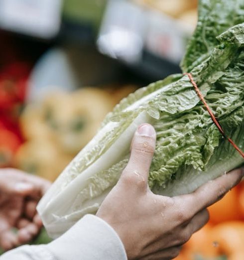 Customer Base - Person choosing fresh lettuce among a variety of vegetables in a supermarket.