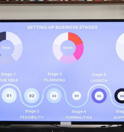 Launch Strategy - Detailed business stages displayed onscreen, useful for planning and strategy sessions.