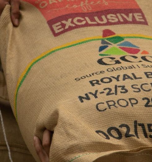 Suppliers - Hands loading sacks of coffee beans labeled Royal Blend for storage and transport.