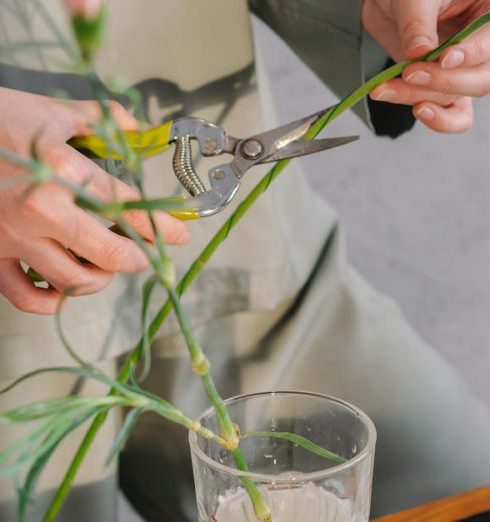 Pruning - Person Holding White Flower in Clear Glass Vase