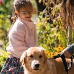 Companion Plants - A loving moment between a mother, daughter, and their golden retriever on a sunny sidewalk in Québec.