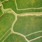 Crop Rotation - An Aerial Photography of a Cropland