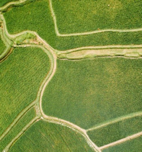 Crop Rotation - An Aerial Photography of a Cropland