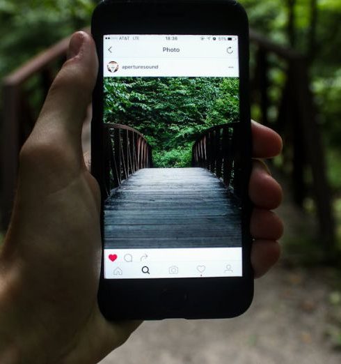 Instagram - A hand holds a smartphone capturing a forest bridge in a natural setting.