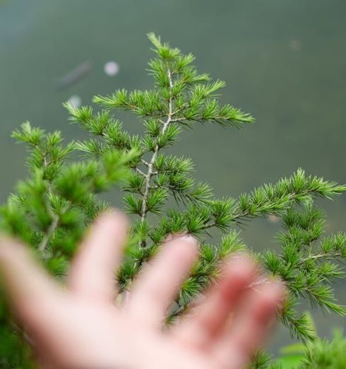 Organic Reach - Hand Reaching towards Lake