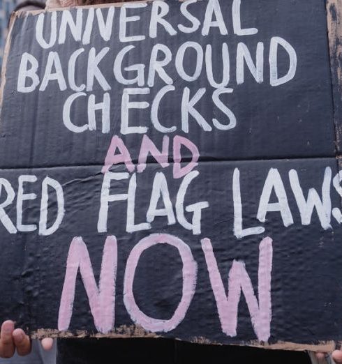 Call To Action - Protesters holding a sign for universal background checks and red flag laws. New York, NY.