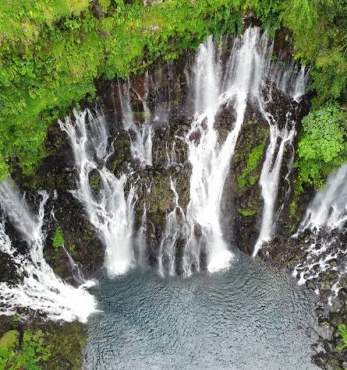 Revenue Streams - Stunning aerial shot of Grand Galet Falls in lush Reunion National Park.